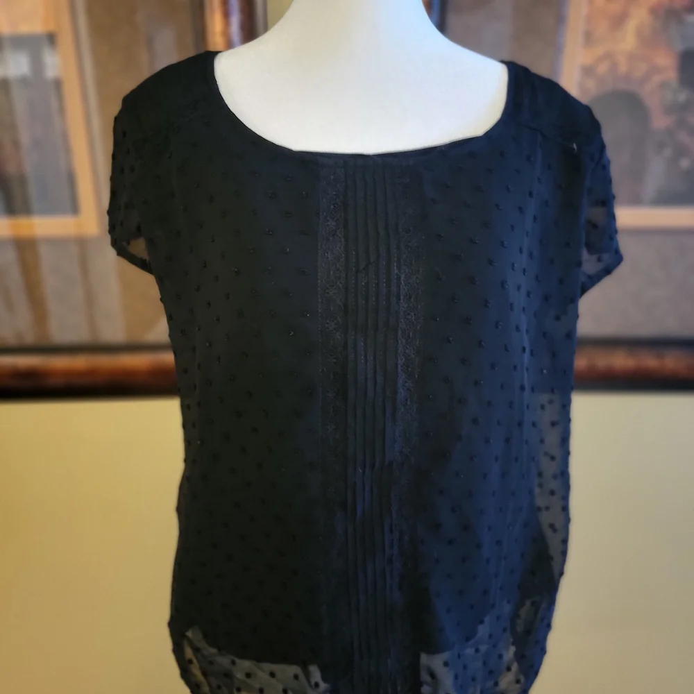 Elegant Black Sheer Women's Top - Picture 1 of 6